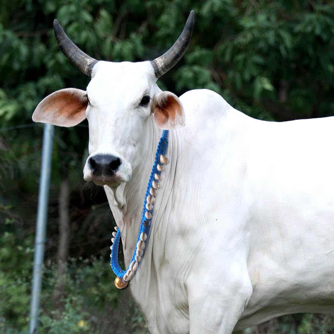 Bull/Cow/Halter Nylon Rope,Leash,Cow Cord,Cow Collar Charm,Cow Belt 123 cm Bell Cow Collar Charm (Blue, White,) (B0CJM38B3Q) Amazon Price History, Amazon Price Tracker