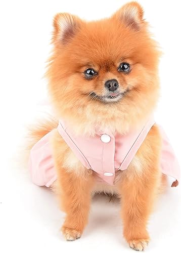 Miniatura 10 de SMALLLEE_LUCKY_STORE Angel Wing - Conjunto de arnés y correa para perro para niñas, vestido de verano para gatos con falda de cachorro con anillo en