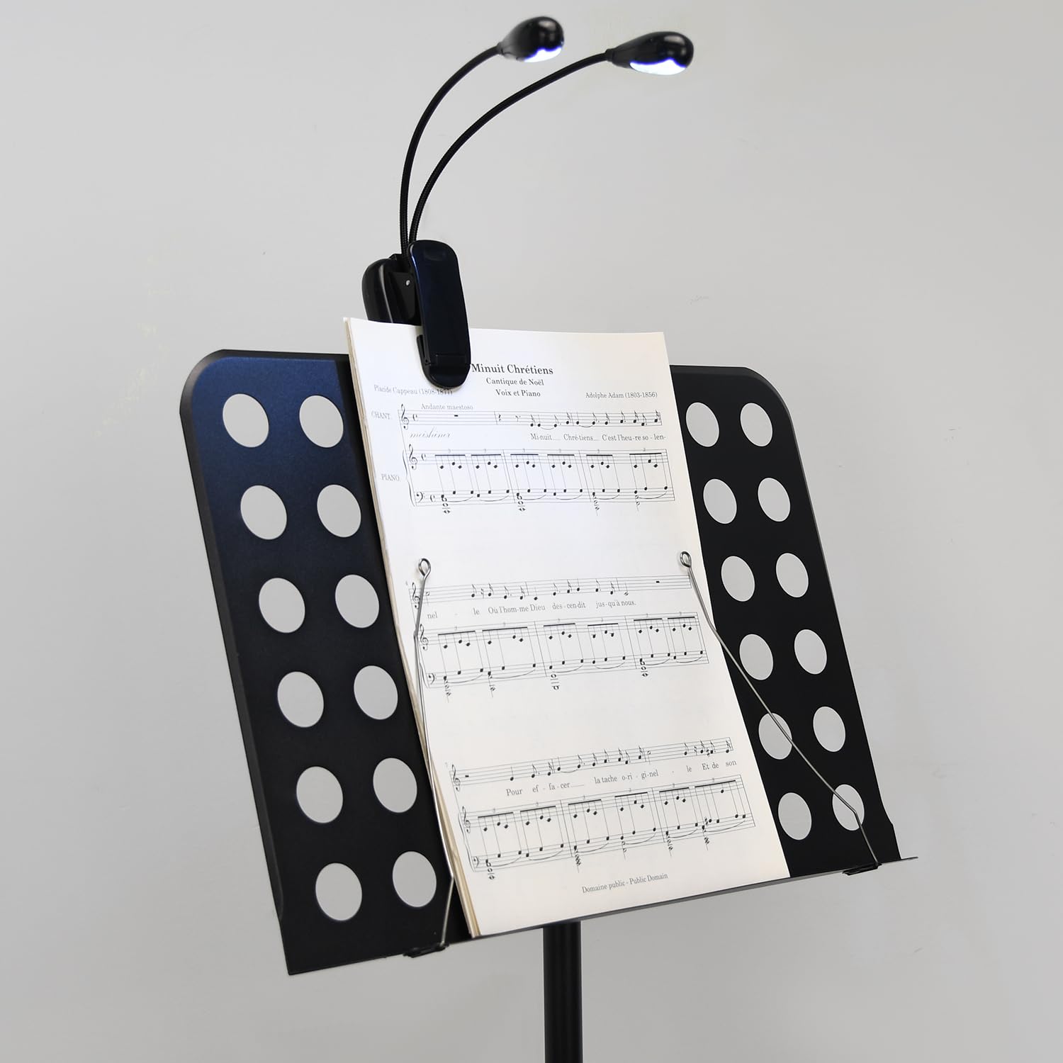 DkOvn Leggio per spartiti con luce di supporto, leggio regolabile con borsa per il trasporto, ricaricabile tramite USB, 8 LED, per lettura, chitarra, violino (leggio e luce)