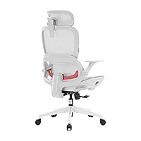 SIHOO B100-LITE Sedia da ufficio ergonomica con supporto lombare – Poggiatesta regolabile