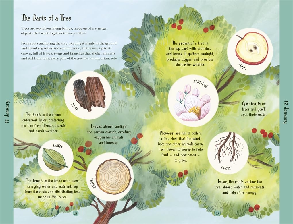 A Year in the Forest: 365 facts and activities to inspire you all year round