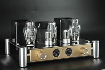 REISONG A50 MKIII 300B HiFi Intergrated Tube Amplifier Single-end Class A Valve Amp with Tube Cage