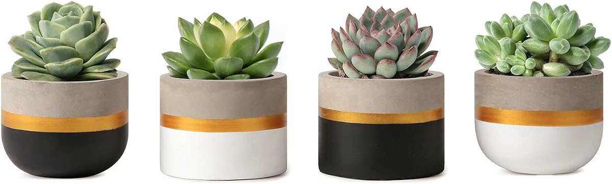 Juego de maceteros de hormigón con mini macetas suculentas de 3 pulgadas, recipiente pequeño y moderno para plantas de interior, regalos navideños para decoración del hogar y la oficina para amantes de las plantas (planta no incluida)