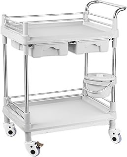Medical Trolley Cart with 4 Wheels 2/3 Tier Utility Carts Salon Trolley Stand Medical Rolling Carts Spacious Spa Beauty Salon Rolling Equipment Maintenance Cart with Dirt Buckets (Color : 2 Layer, S
