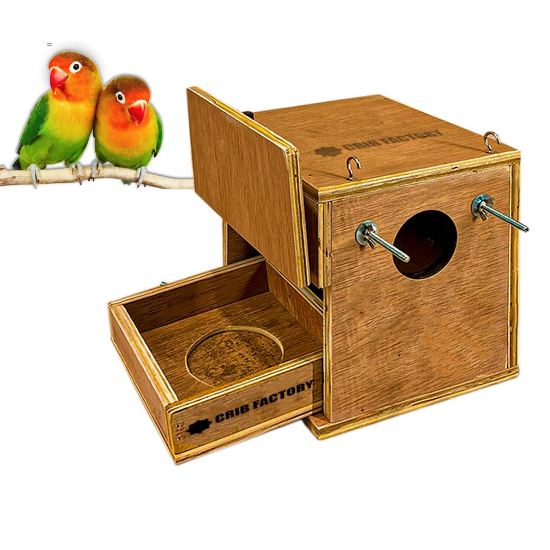 CRIB FACTORY African Love Birds Breeding Box 8 X 8 X 9 Inch