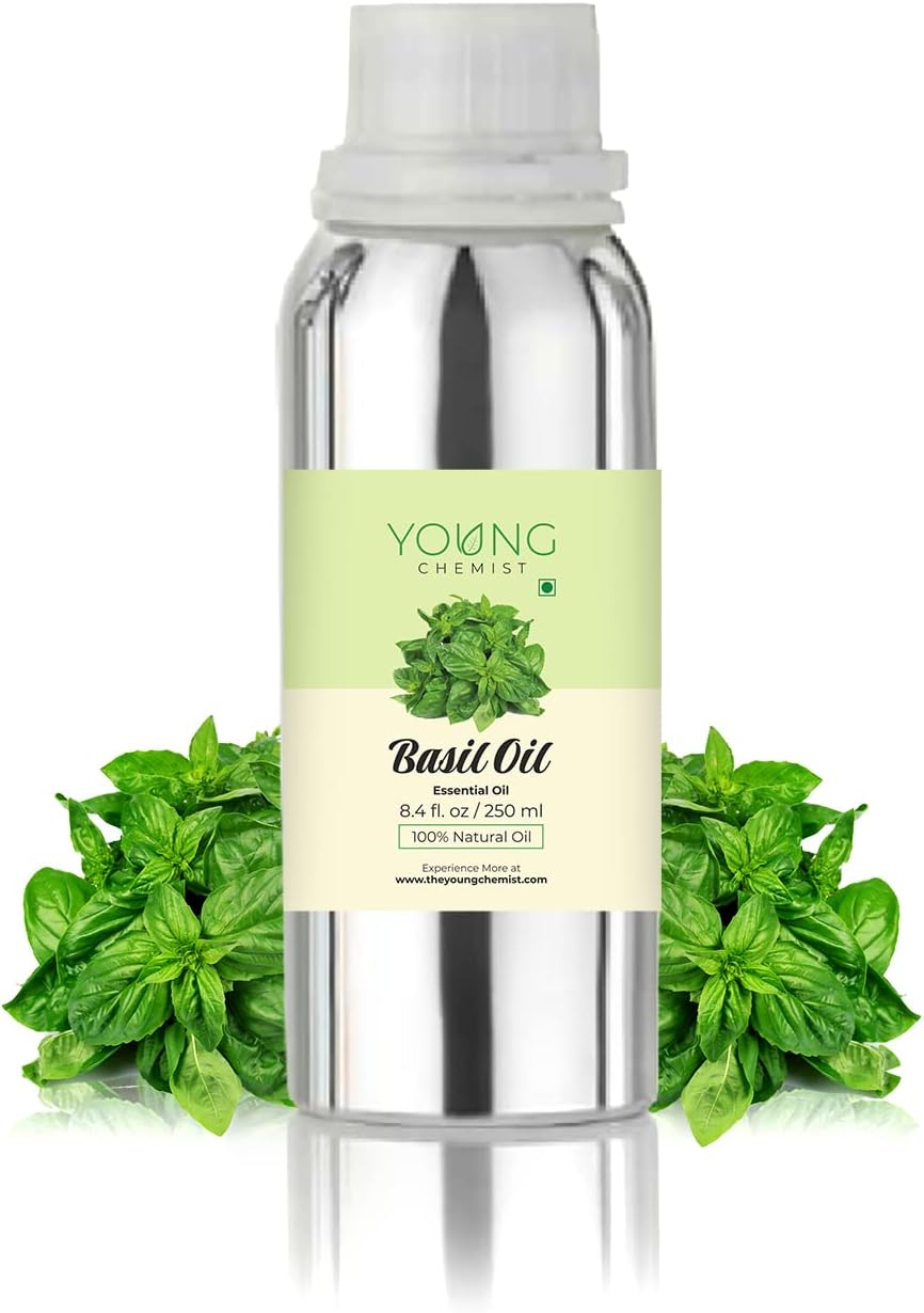 Young Chemist Pure Basil Essential Oil - 250ml | Bulk, Therapeutic Grade for Aromatherapy, Skin Care, Hair Growth | Natural Remedy for Calm & Comfort