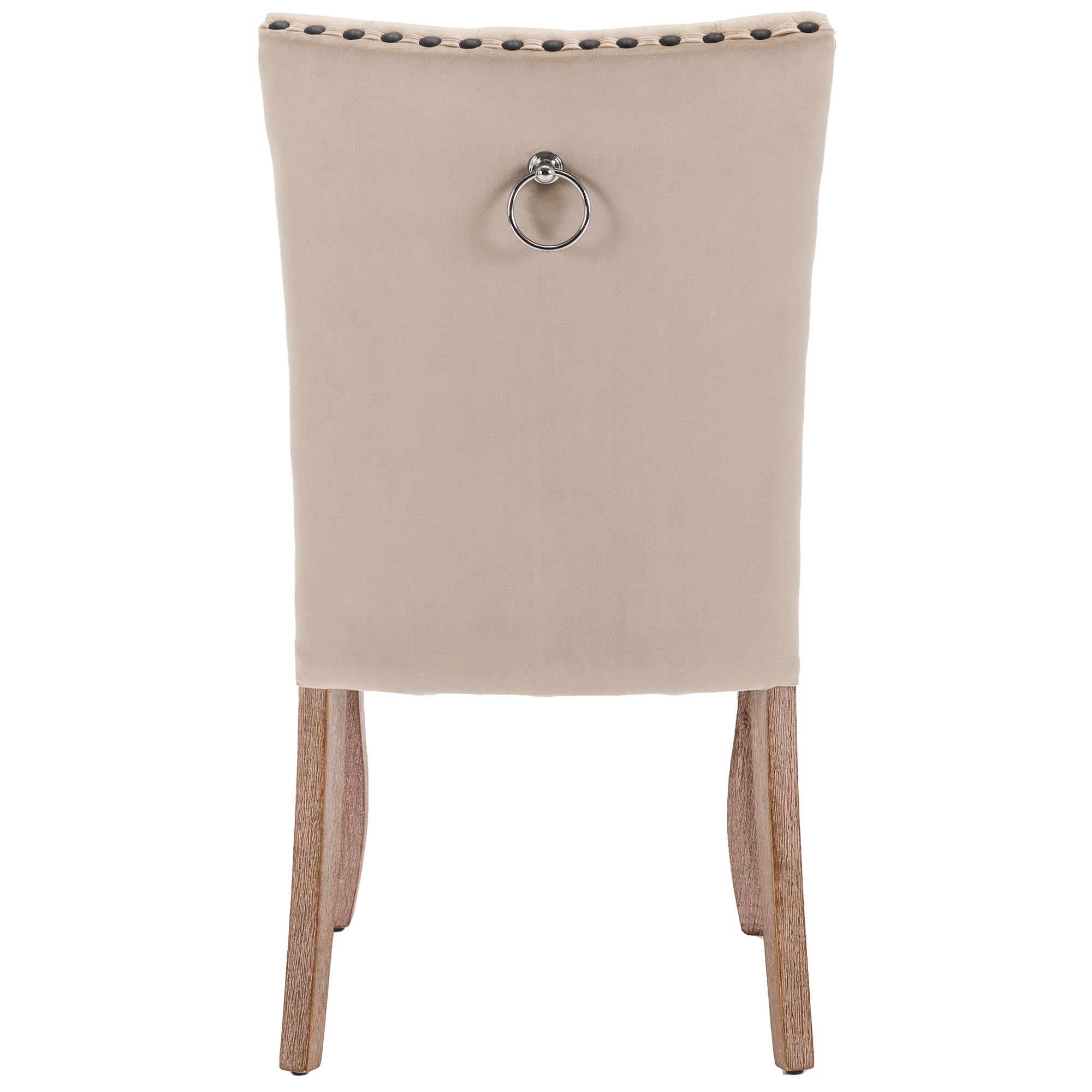 Sedia da pranzo (sedia da cucina, soggiorno con battente unico sul retro), sedia imbottita con testa di chiodo, gambe in legno massiccio, rivestimento in velluto, cammello chiaro, 6 pezzi