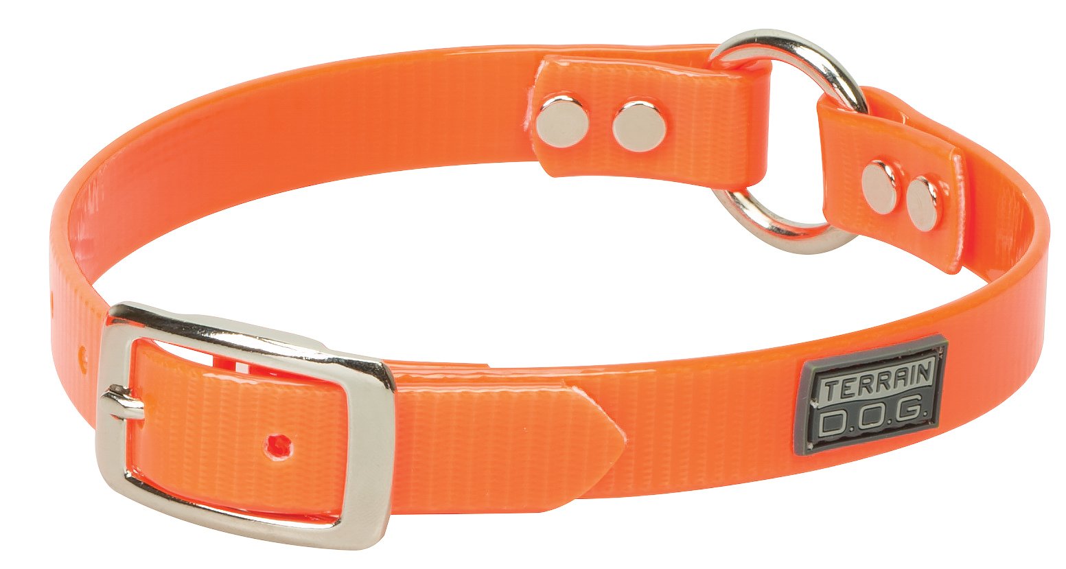 Collier chien transparent Terrain D.O.G. pour balades nature et mer