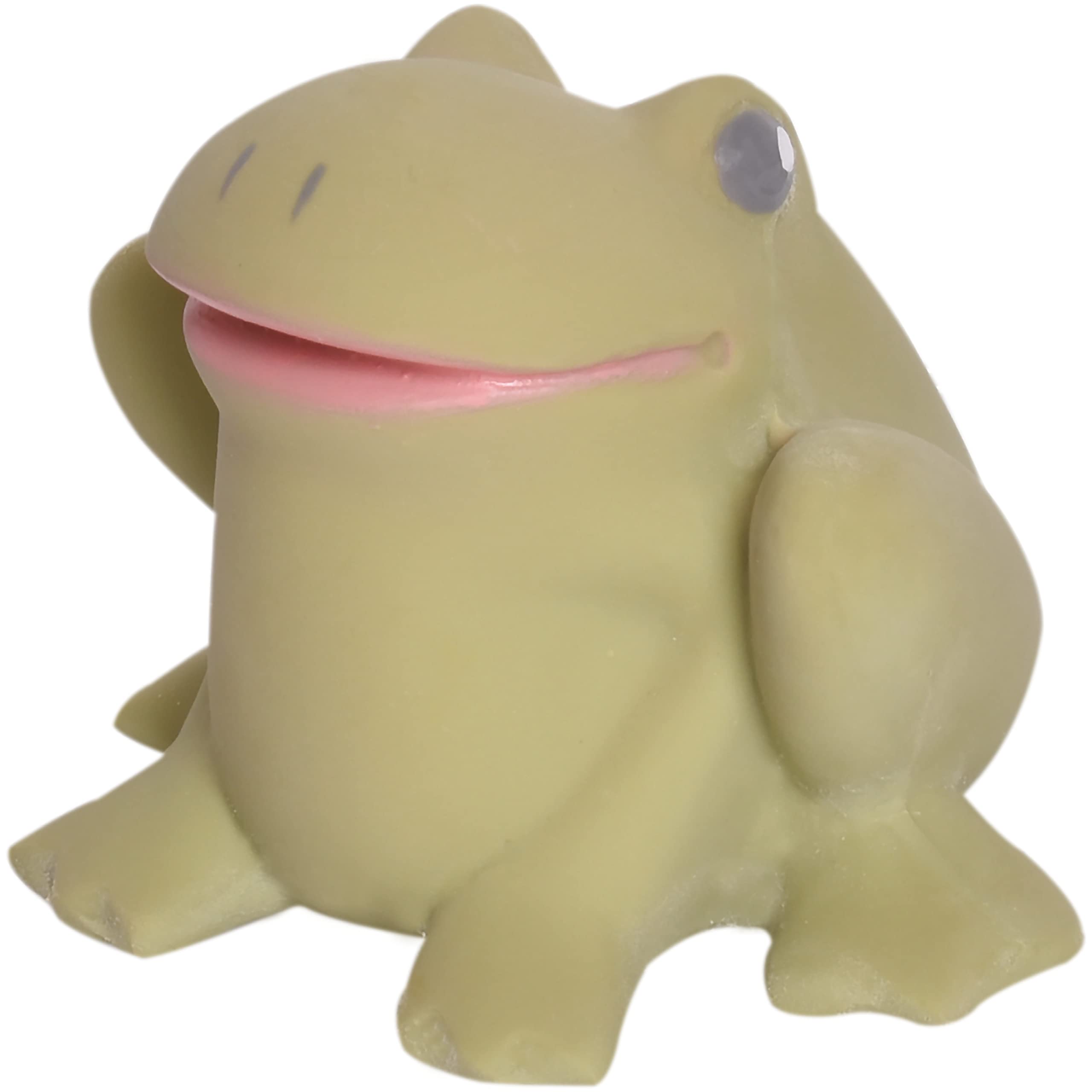 Tikiri 8573342 Natural Rubber Rattle in Gift Box, Frog, Bath Toy, for Babies and Children from 0+ Months, 8 cm