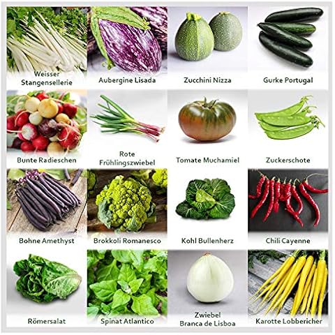 Set de graines de légumes PRADEMIR Cover