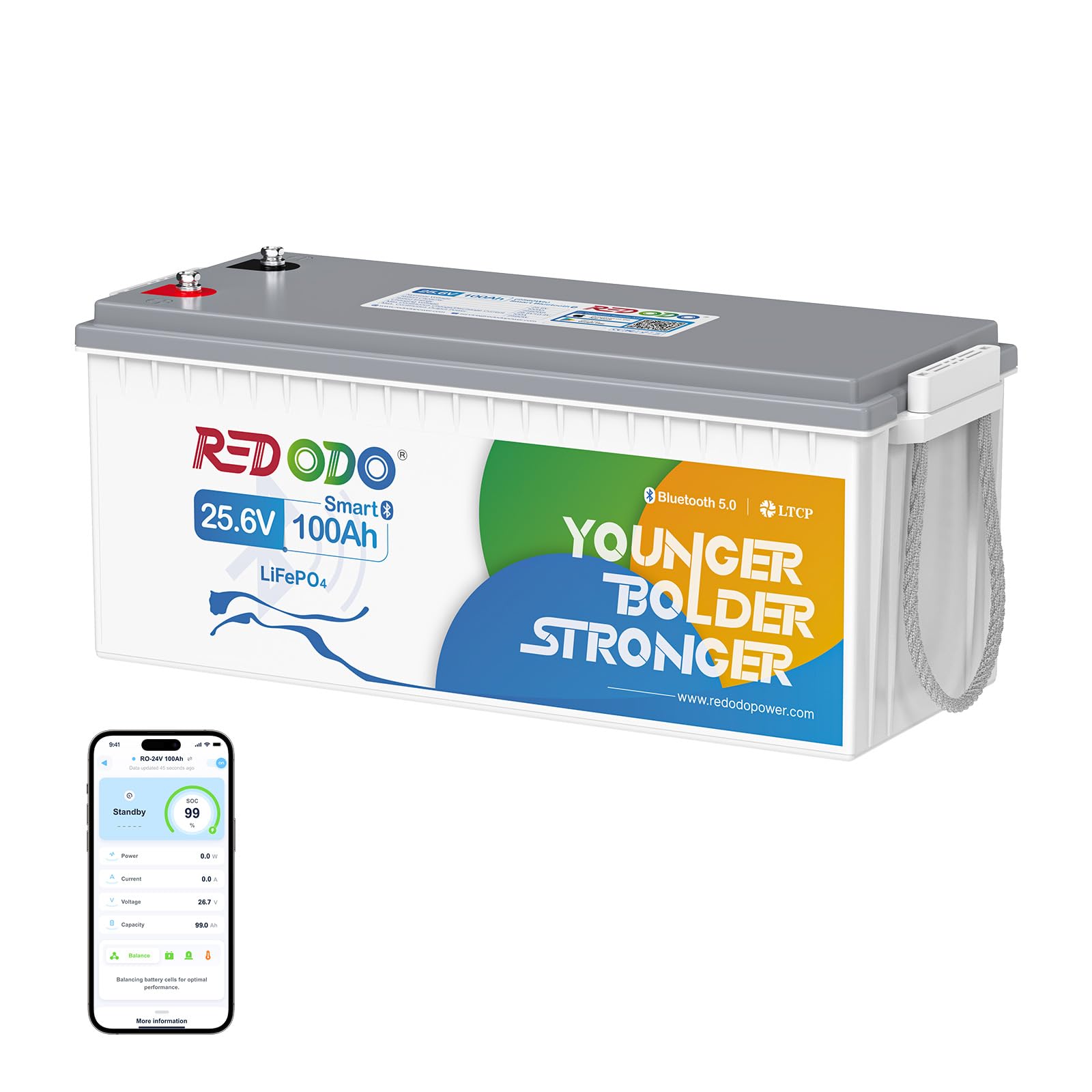 Redodo 24V 100Ah Bluetooth Batteria Litio, Batterie LiFePO4 con Protezione a Bassa Temperatura, BMS 100A, 2560Wh, Ricaricabile, Perfetta Batteria di Ricambio al Piombo per Camper, RV, Caravan