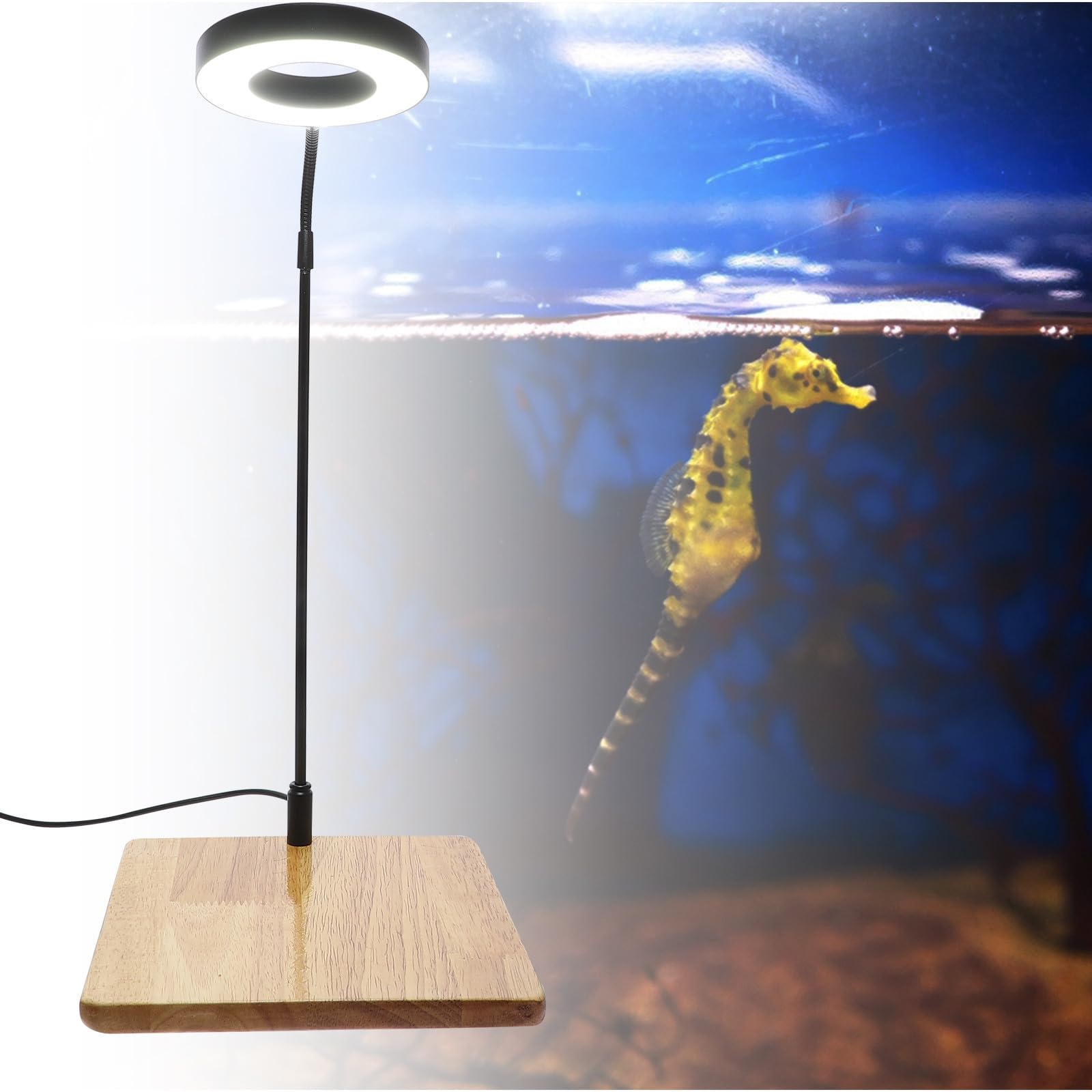 GALPADA Lámpara LED para Acuario de 10 W Diseño Ajustable y Material de Aleación de Aluminio, Luz para Plantas Acuáticas en Peceras y Tanques Ornamentales
