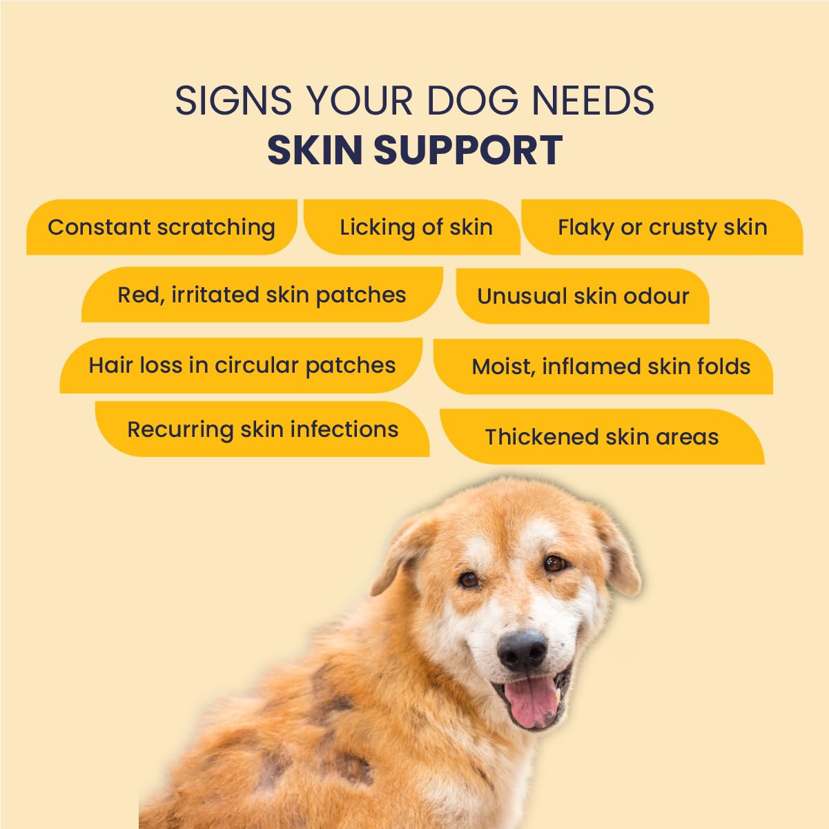 FUR BALL STORY Eczo Pet Anti Fungal & Anti Bacterial Cream|Itchy Skin Treatment for Dogs & Cats | Helps with Eczema, Ringworm, Dermatitis & Skin Infections | Ayurvedic Vet-Approved Formula 60gm 2