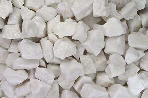 Fantasia Materiales 1 lb White King Quartz Rough Stones de la India