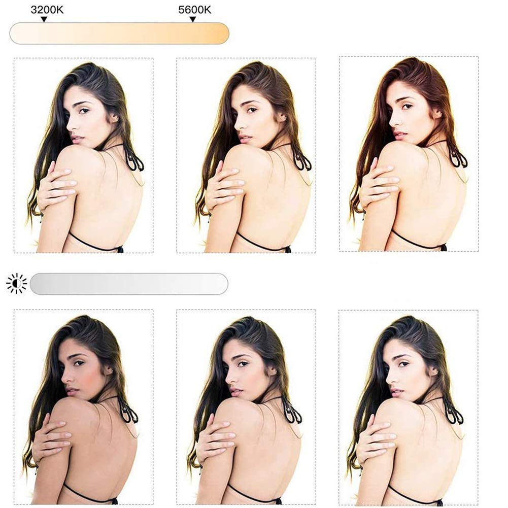 Anello Luminoso LED da 10 Pollici Selfie Ring Light con 3 modalità di Illuminazione Dimmerabile LED Camera Desk Ring Light Kit con treppiede e Supporto per Cellulare