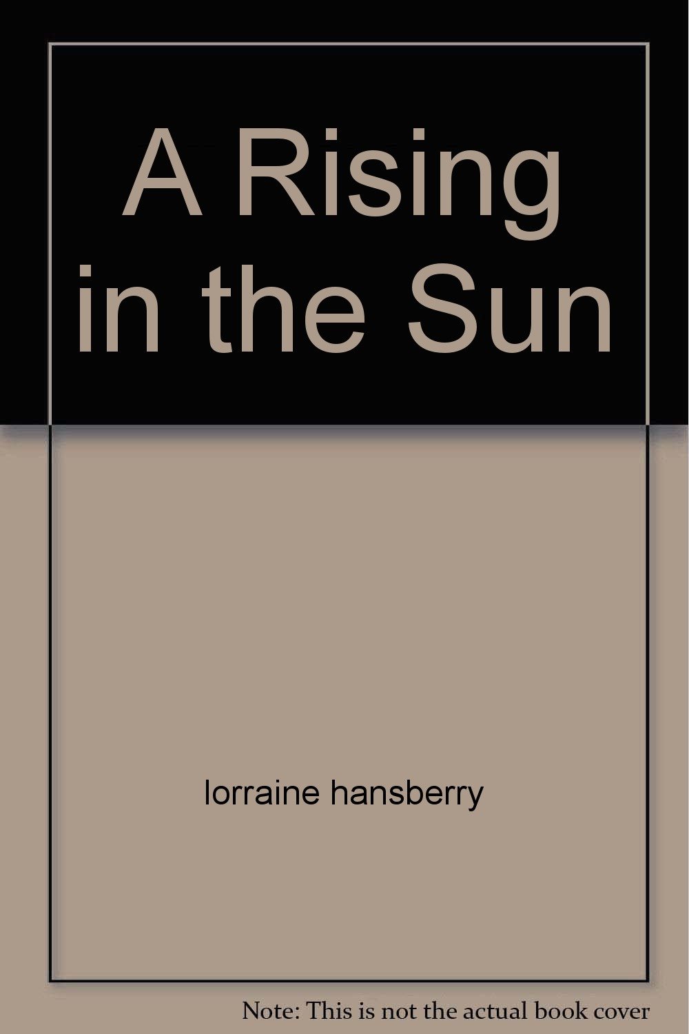 A Rising in the Sun Lorraine Hansberry Books