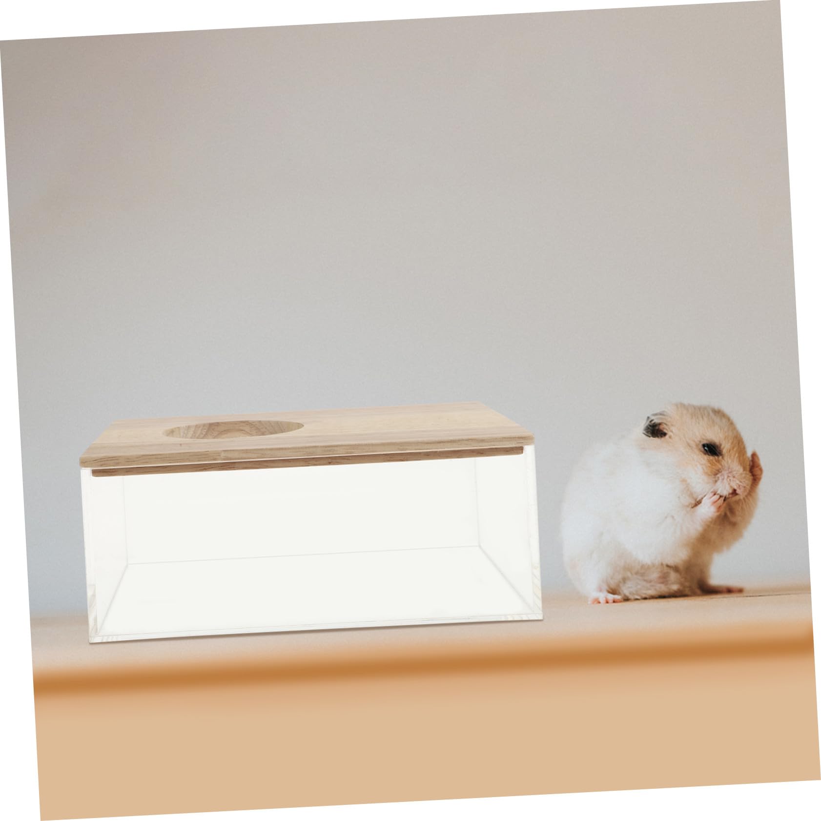SEWACC Mehrzweck Hamster Sandbad Box Transparent Chinchilla Badebecken Rechteckig Kleintier Badewanne mit Glatten Kanten Praktisch und Leicht zu Reinigen für Nagetiere