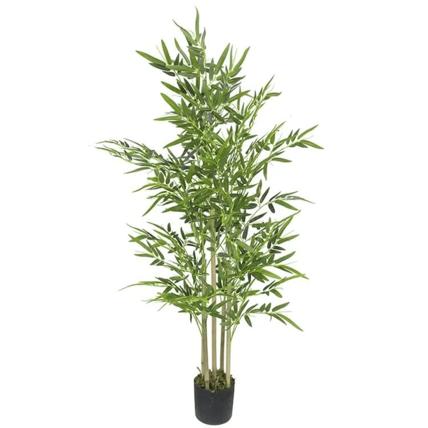 FOX & FERN Natural Looking Artificial Bamboo Plant Made by Hand-Selected Natural Bamboo Trunks, Real Touch Leaves Without Pot Best for Home,Office Decor (Ht. 5Ft) (B0CYQ2KYM7) Amazon Price History, Amazon Price Tracker