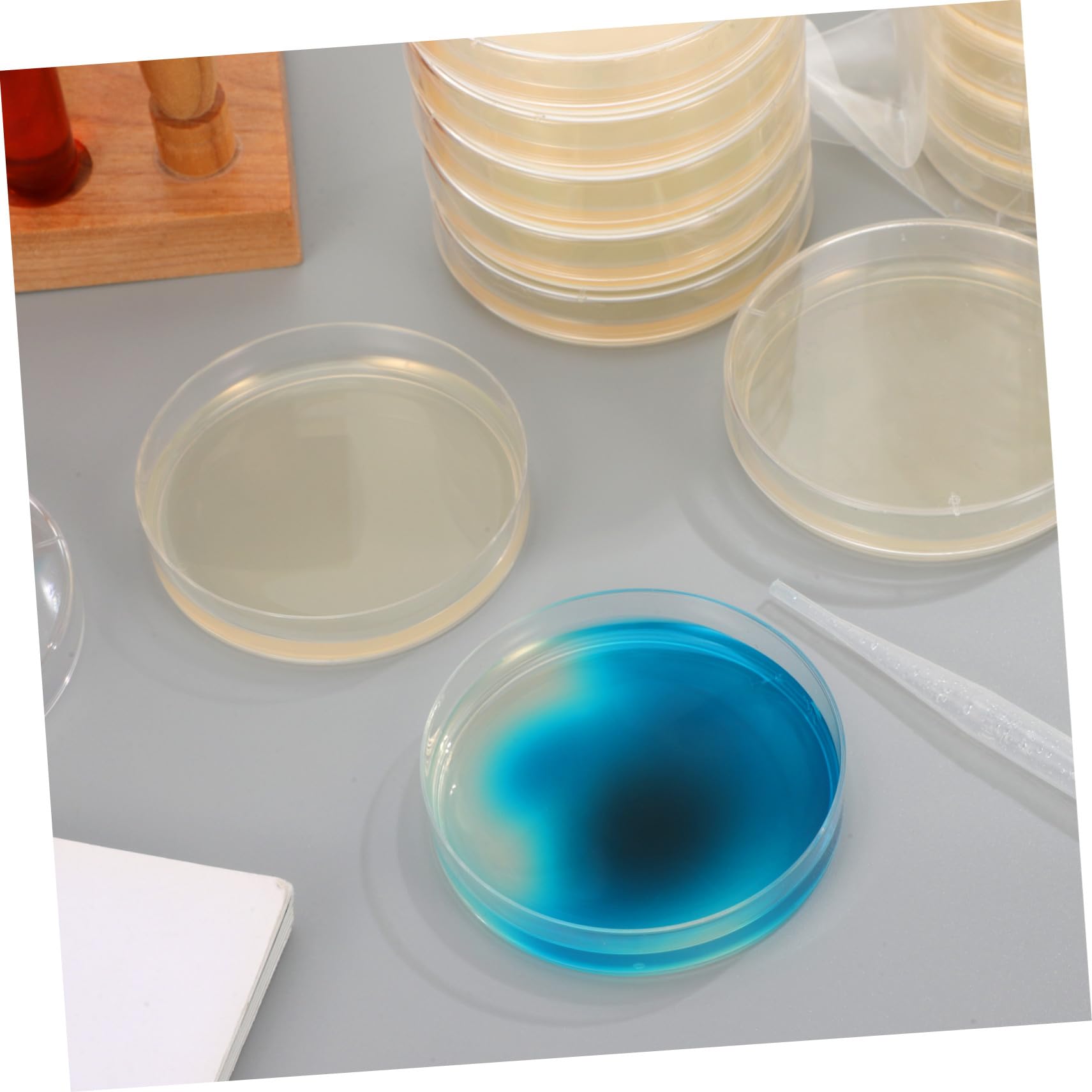 SHINEOFI 20 piezas Unidades Placas Petri de Agar Nutritivo Prefabricadas para Cultivo Microbiológico Escolar y Laboratorio con Gruesa de Agar para Crecimiento Rápido