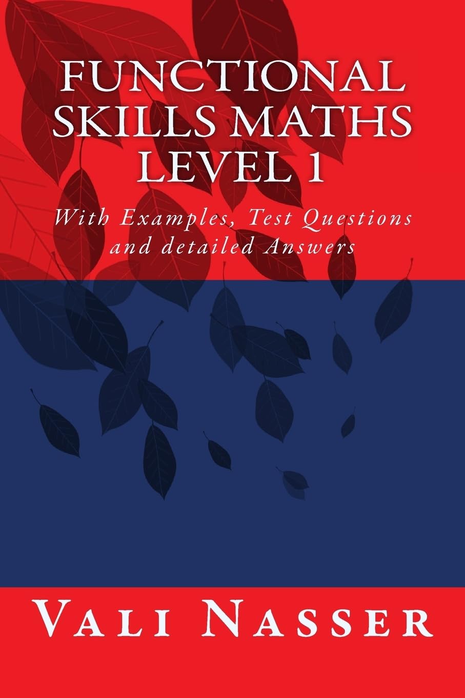 Functional Skills Maths Level 1: With Examples, Test Questions and detailed Answers
