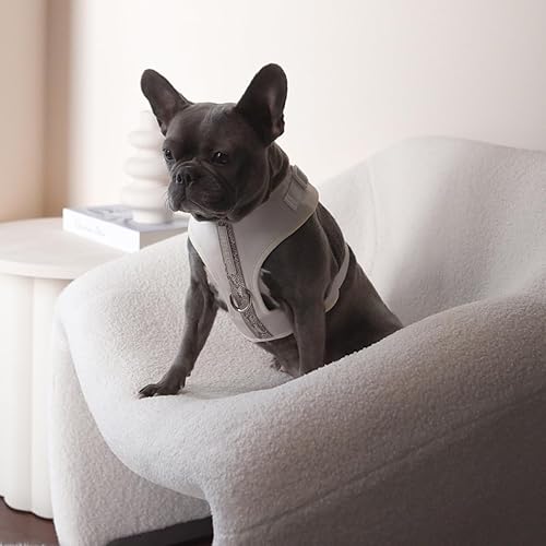 Miniatura 6 de Arnés de neopreno de alta calidad para perro y gato, color blanco hueso, diseño de piel de serpiente, deportivo, pequeño, mediano, grande, sin