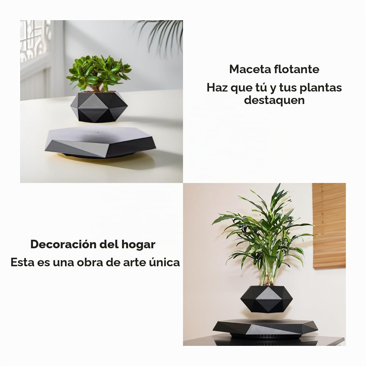MOOCCI Maceta Flotante levitante, Regalo Ideal para el hogar para Novios, compañeros de Clase para Halloween, Acción de Gracias, Navidad