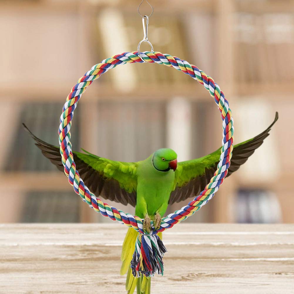 Parrot Perch - Image 2