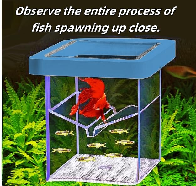 Floating Fish Tank Breeder Box - Transparent Thickened Aquarium Isolation Box for Fish Breeding Easy to Install and Space-Saving (Blue) - Image 3
