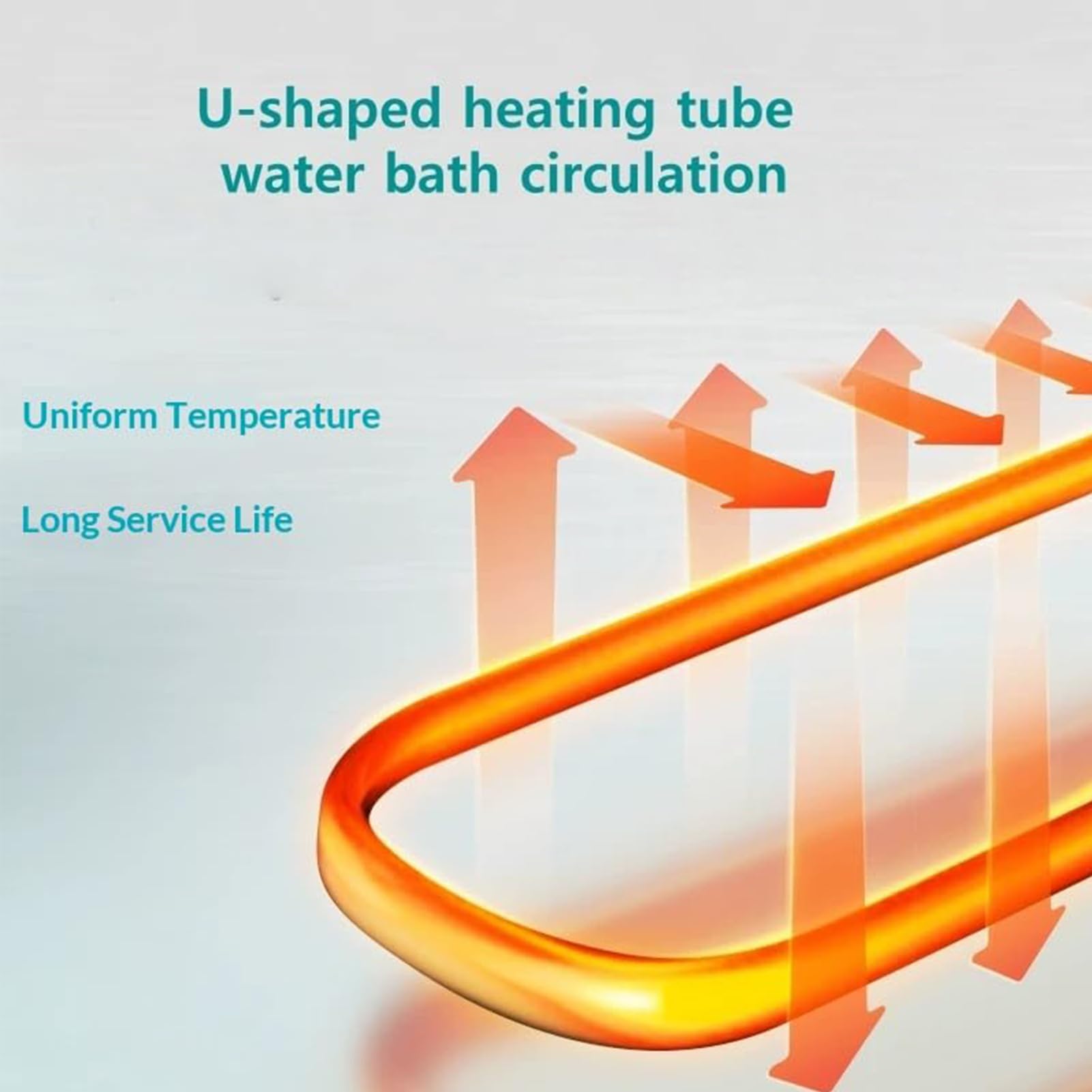 Baño María de Laboratorio Digital, Calentador Termostático PID con Protección Contra Marcha en Seco, Tanque de Acero Inoxidable para Calentamiento Científico, Incubación, Equipos de Lab WB-1