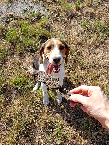 Lucze Rinderpansen getrocknet 1kg, 100% natürliche Pansen, Hundesnacks getreidefrei, proteinreich & aromatisch, Kauartikel zur Zahnpflege für kleine, mittlere & große Hunde