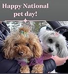 Review Image by david f david f