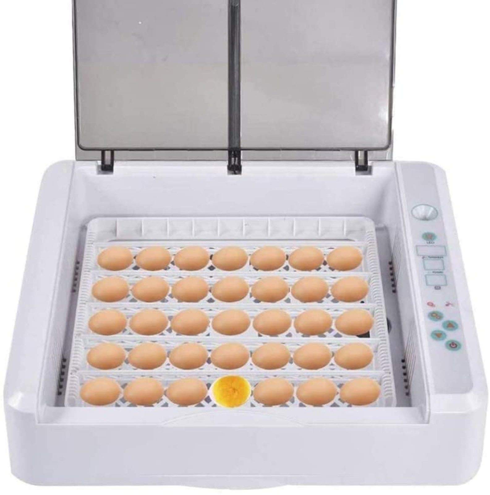 Buy Egg Incubator, 36 Eggs Fully Automatic Poultry Hatcher Machine, Led