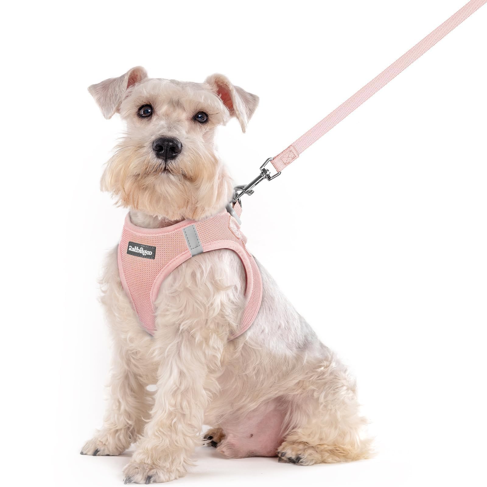 rabbitgoo Dog Harness Medium Sized and Leash Set, Step-in Puppy Pet Vest