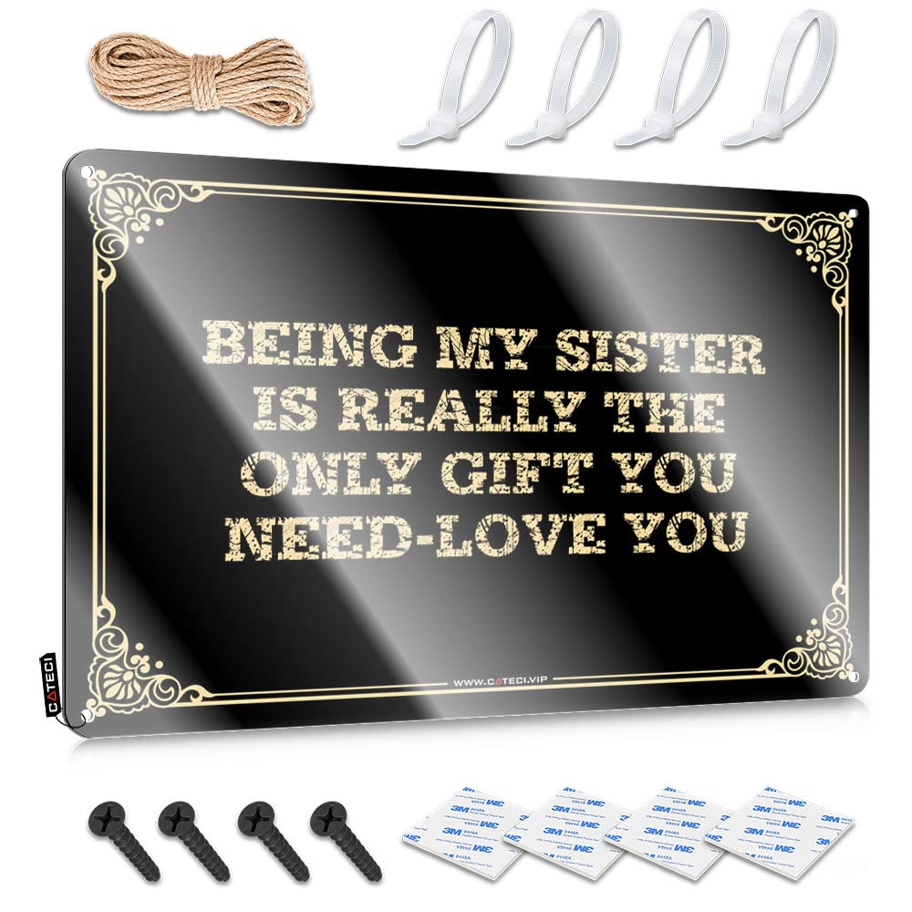 Decor Mens Bedroom Decor Vintage Wall Decor | Being My Sister Is Really The Only Gift You Need-love You Aesthetic Accessory For Cafe Home Decoration(30X40CM)