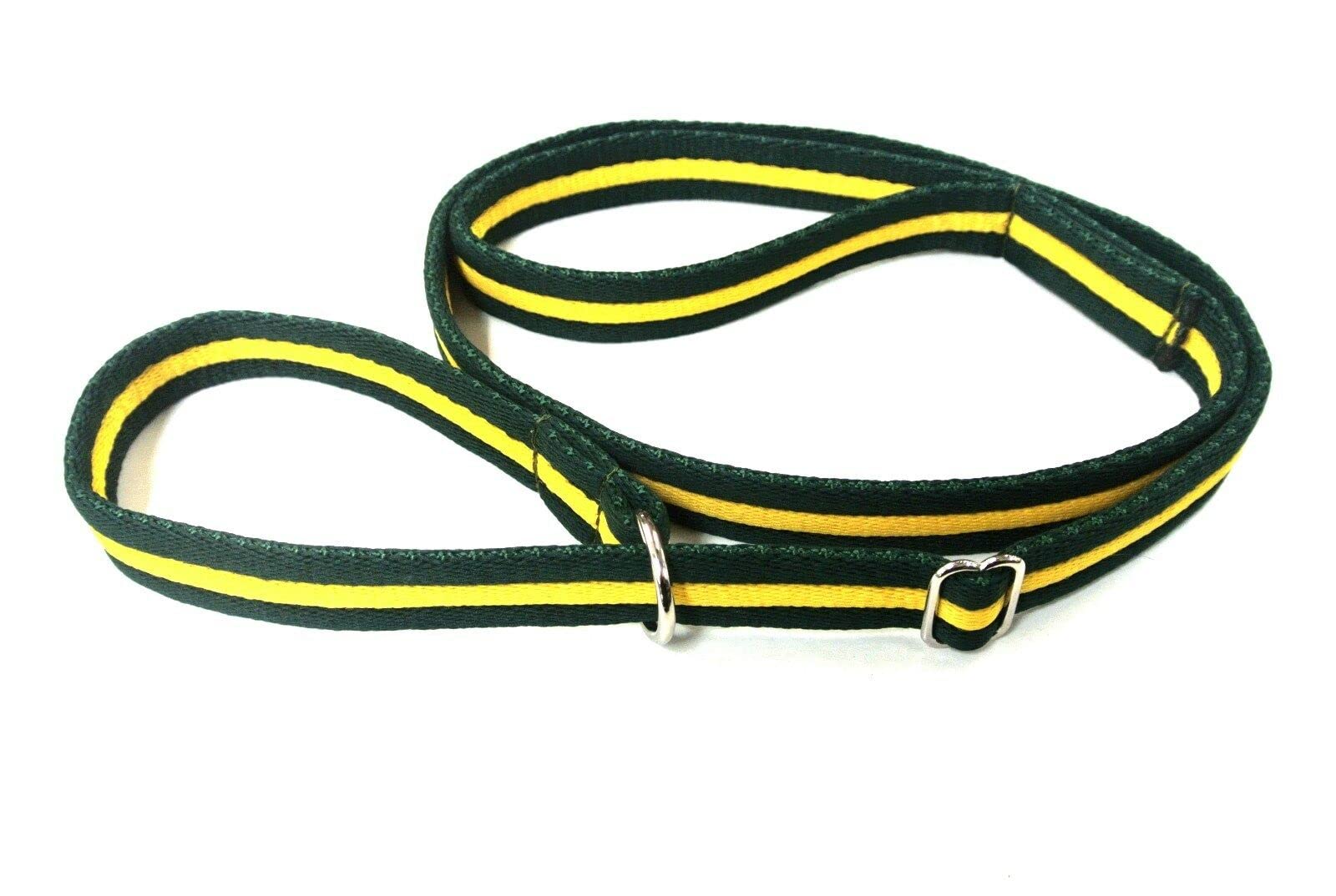 Dog Slip Lead Training Walking Leash 60" Long Obedience Slip On Dog Lead Soft Comfortable Air Webbing In (Forest Green/Yellow, 20mm) — image 1