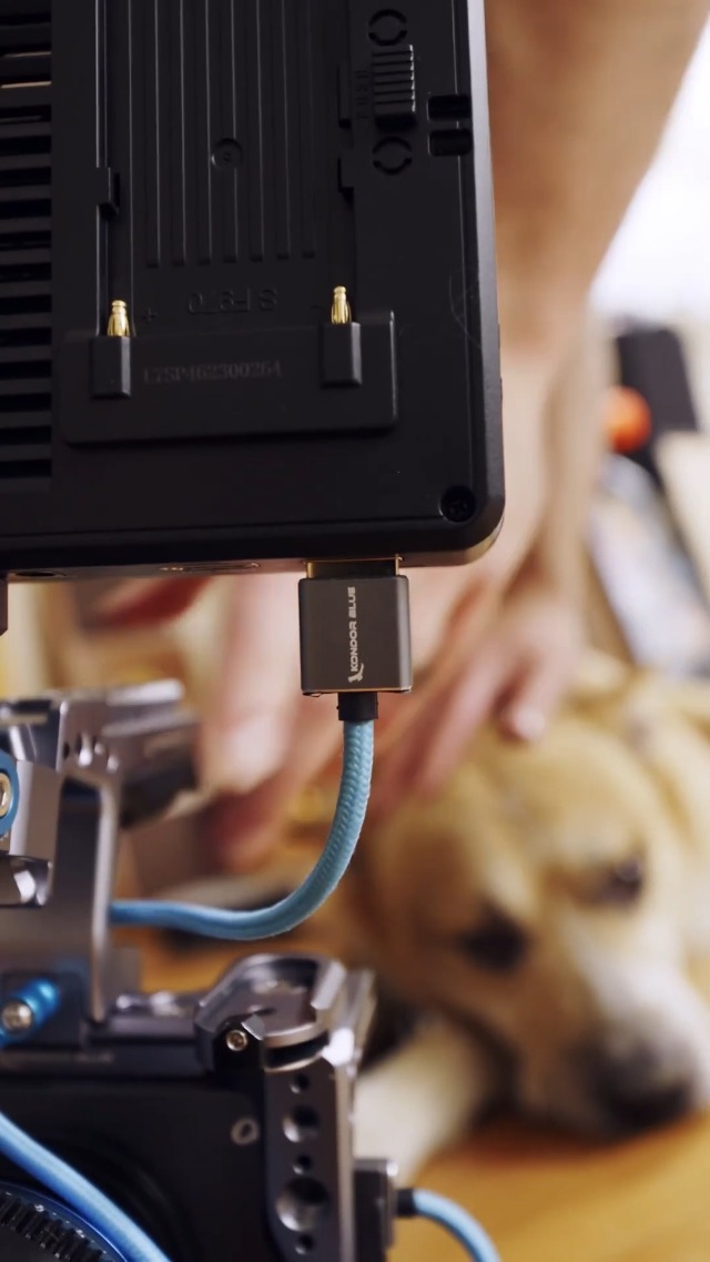 Image of KONDOR BLUE x Gerald Undone | Full HDMI 2.0 Type A Male to Male 12 inch- 24 inch Coiled Braided Cable | 4K 60Hz 18Gbps, HDR, 3D, Reinforced | for On-Camera Monitors & Recorders + More | Purple