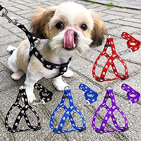 Pups&Pets Colorful Nylon Reflective Dog Harness Leash Lead Paw Printed Set for Dogs and Puppies - (Red) (B0B3S8Y8L9) Amazon Price History, Amazon Price Tracker