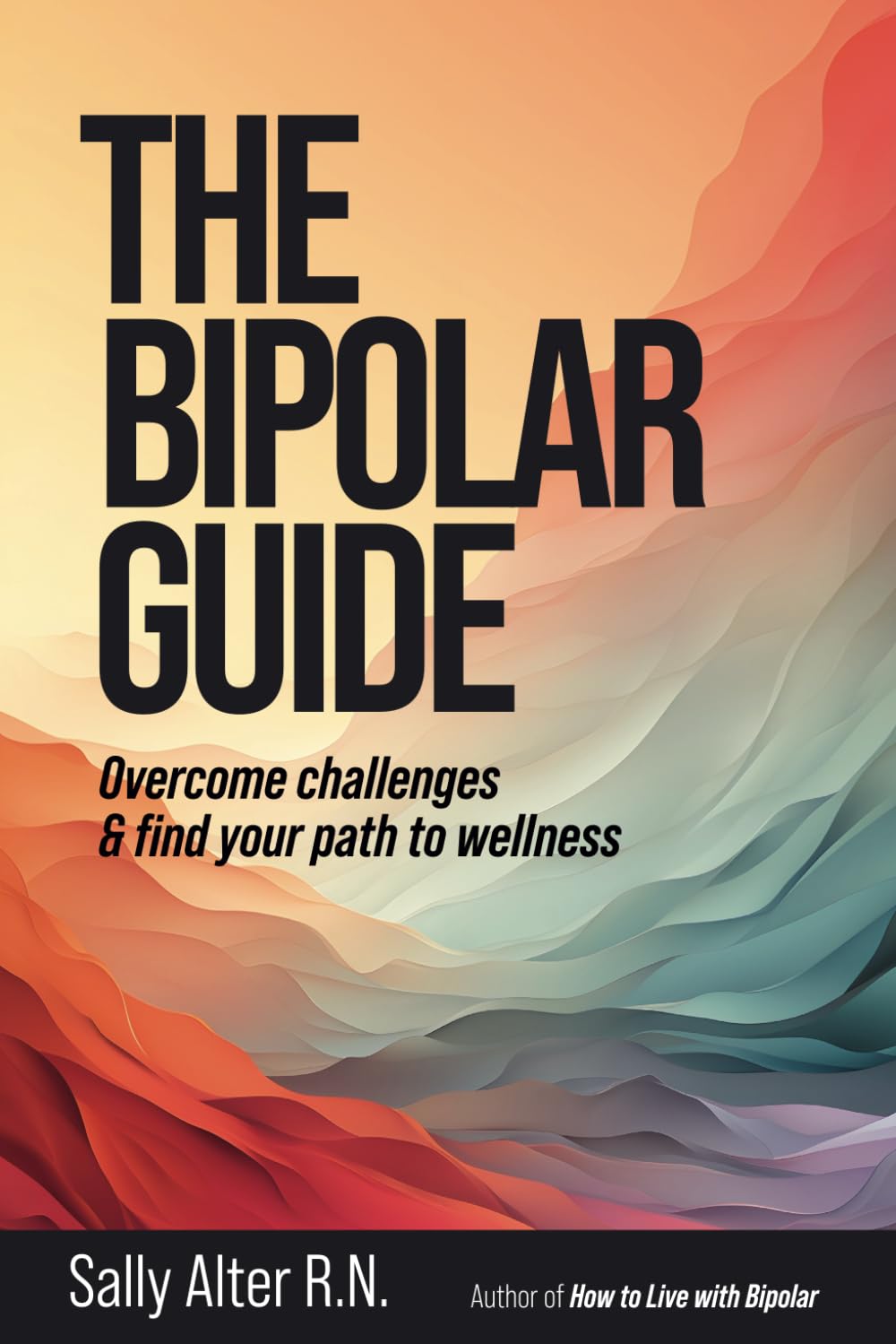 The Bipolar Guide: Overcome Challenges and Find Your Path to Wellness