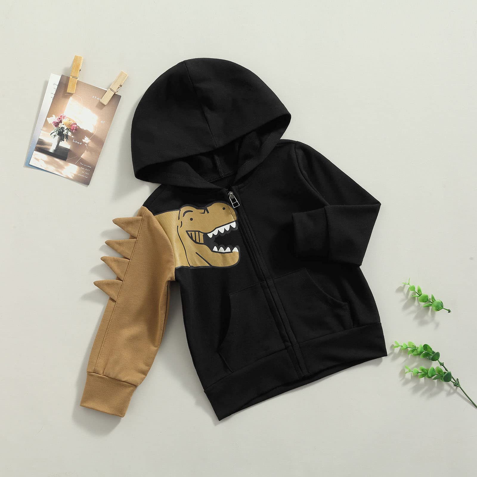 Yoiwhaayo Toddler Baby Boy Outfit Clothes Dinosaur Cartoon Zipper Hoodies Sweatshirt with Hat Fall Winter Tops 1t 2t 3t 4t 5t (Black,1-2T)