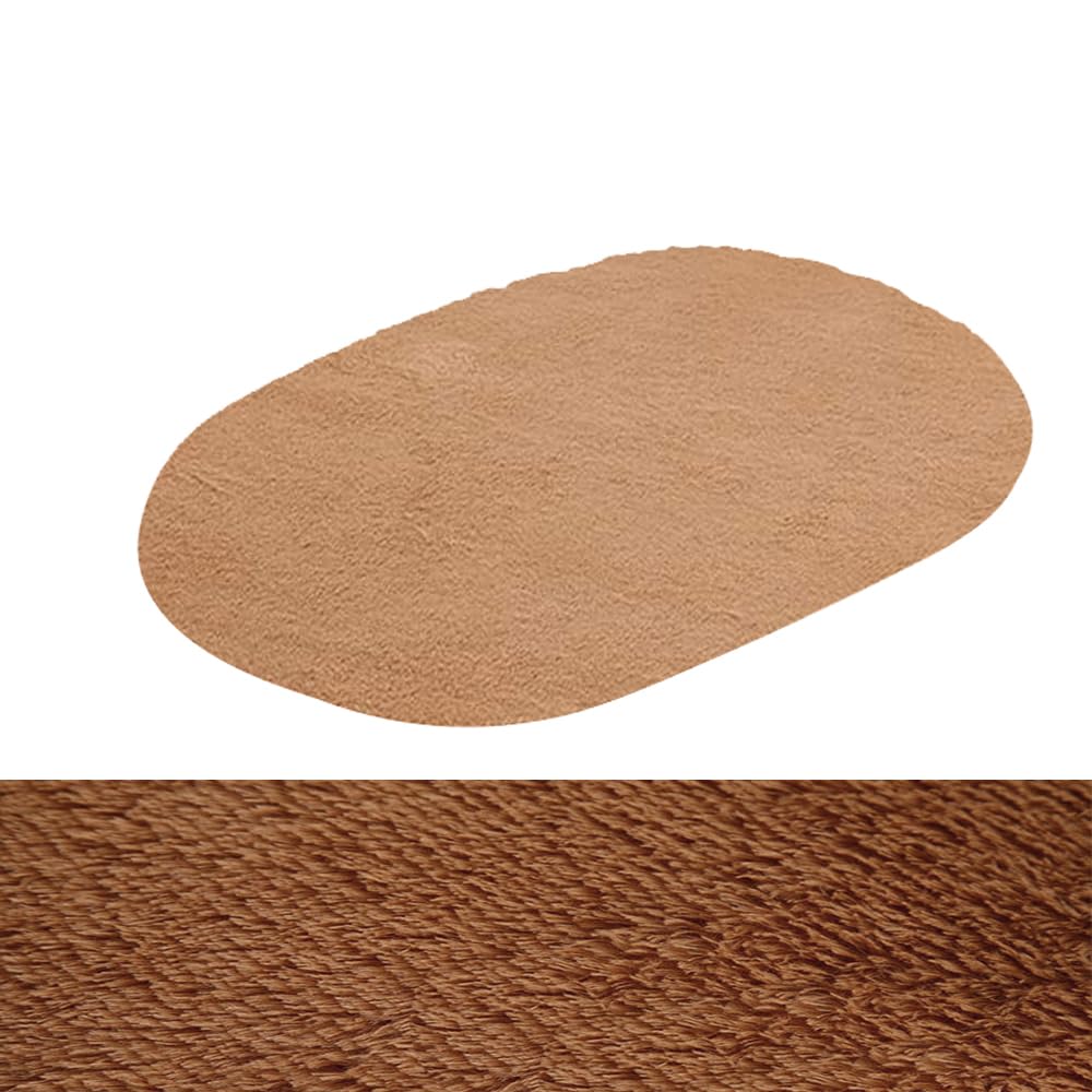 ZuTKekon Ultra Soft Indoor Modern Area Rugs Fluffy Non-Slip Floor Oval Carpets Silky Mat for Living Room Bedroom
