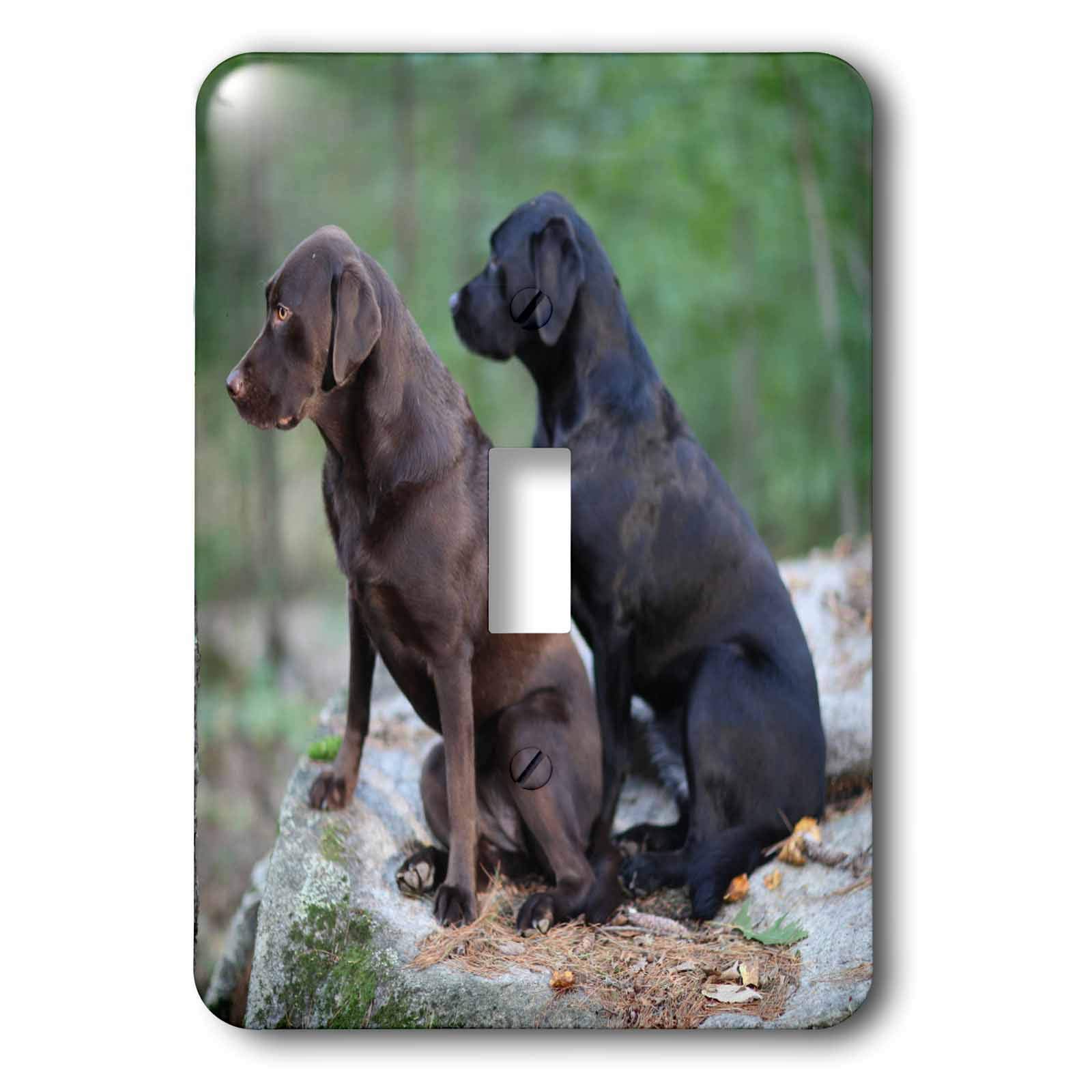 Placa para luz de labradores y mascotas para regalar a familias