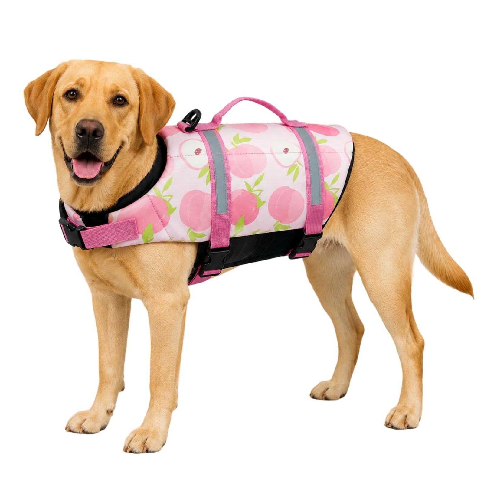 FANSU Dog Life Jacket with Lift Handle, Reflective Dog Life Vest for Swimming & Boating, Adjustable Puppy Buoyancy Aid with Extra Floatation for Small Medium Large Dogs (XL,Peach)