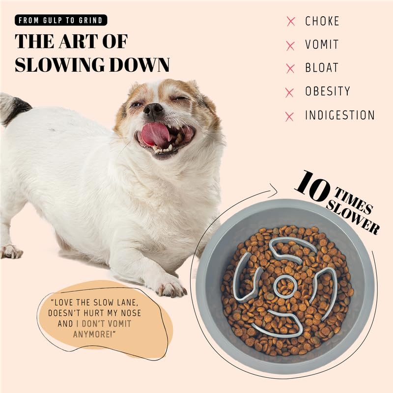 AVERYDAY Slow Feeder Dog Bowls for Medium Breeds Fits Raised Feeding Station, Puzzle Dog Food Bowls to Slow Down Eating, Dogs Feeding Bowl with Non-Slip, Slows Feeder Pet Bowl for Wet and Dry Food - Image 3