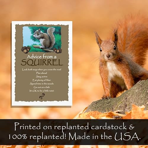 Miniatura 4 de Juego de 4 tarjetas de felicitación de granja, fabricadas en los Estados Unidos, tarjetas ecológicas en blanco impresas en cartulina replantada,