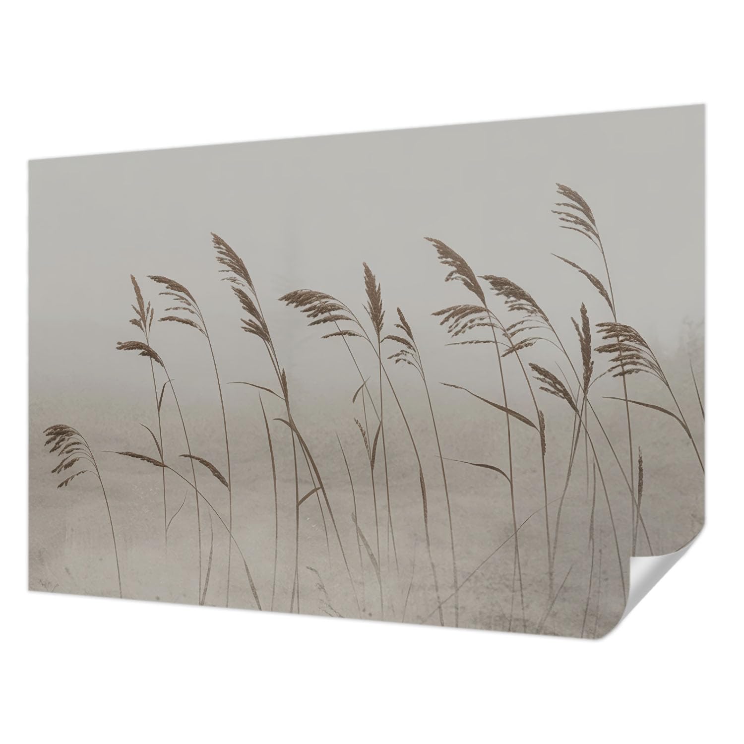 Papier peint autocollant 152x104 cm motif herbes dans le brouillard