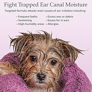 Ear cleansing solution for dogs and cats  pet ear cleaner removes odor  wax  deodorizing dog ear cleaner solution with aloe  vitamins  sweet pea  vanilla scent  8 oz   cucciolini doodles