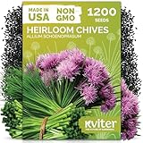 KVITER 1200 Chive Seeds (Allium schoenoprasum) - Know as Onion or Garlic Chives Chives, Mild Flavor -Non GMO & Heirloom Herb Seeds for Planting in Outdoor & Indoor Garden, Borders, Containers