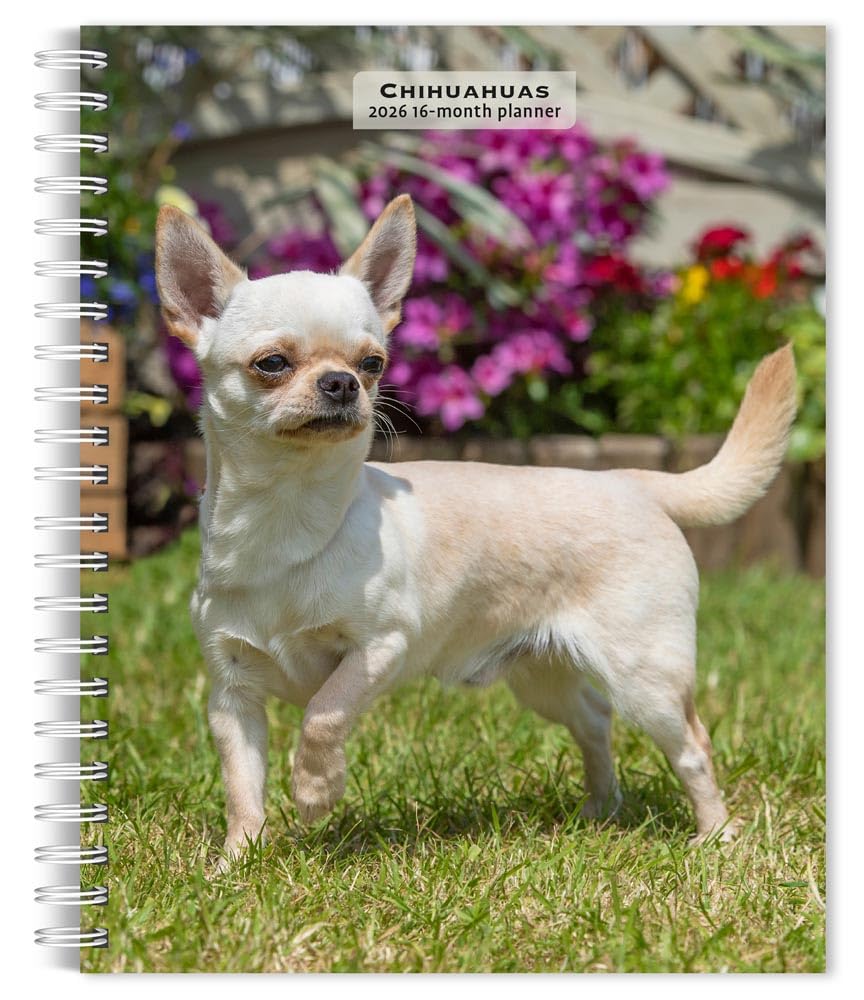 Chihuahuas 2026 Engagement Diary (Diary or journal)