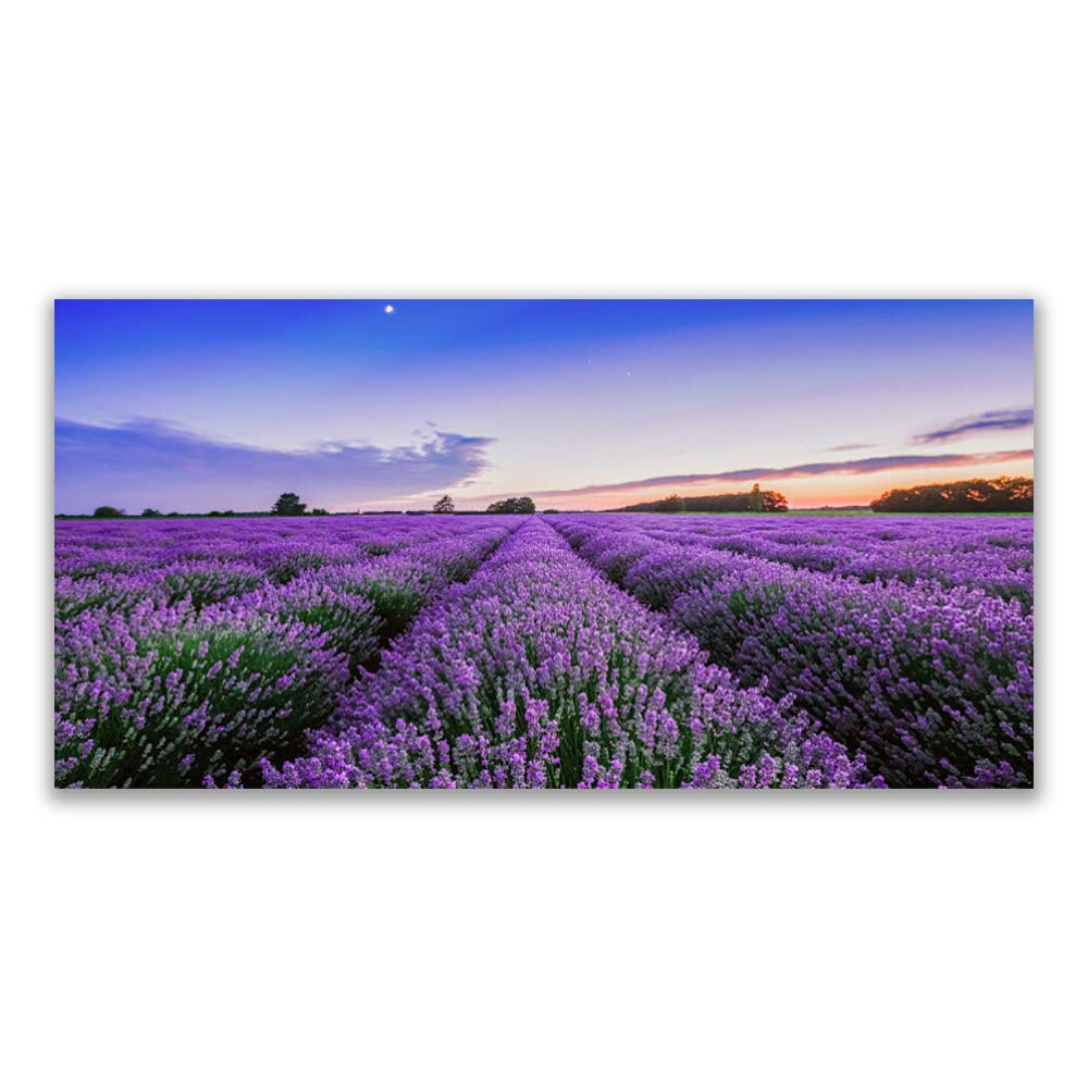 Tableau sur toile 120x60cm Tulup Meadow Fleurs Nature pour décoration murale moderne
