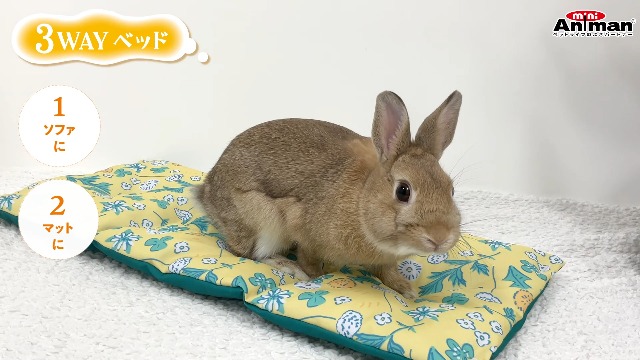 Amazon.co.jp: ミニアニマン うさちゃんのふわふわピクニック 3WAY